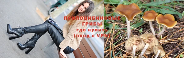 дмт Волосово