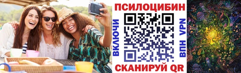 Псилоцибиновые грибы Cubensis  Купить закладки  Долинск 